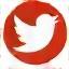 X Twitter icon for Rosewood Drumbeat social media
